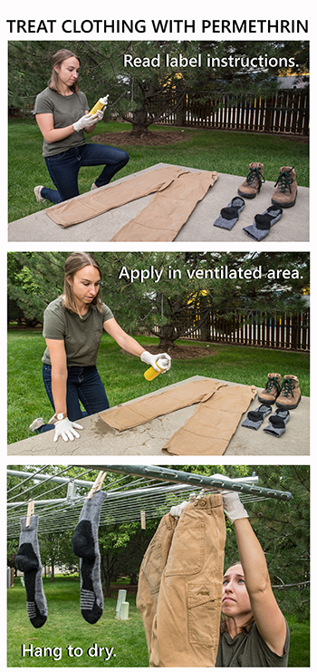 Обработка перметрином. Изображение © CDC.gov | Болезнь Лайма Обработка перметрином. Изображение © CDC.gov | Болезнь Лайма